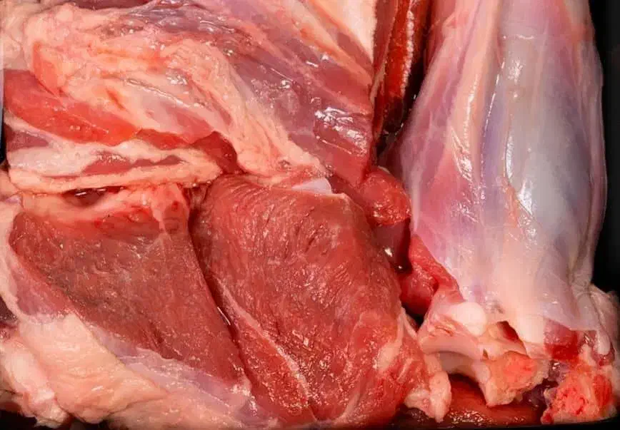 گوشت گوساله گوشت گوسفندی گرم منجمد|خوردنی و آشامیدنی|محمدشهر, محمدشهر|دیوار