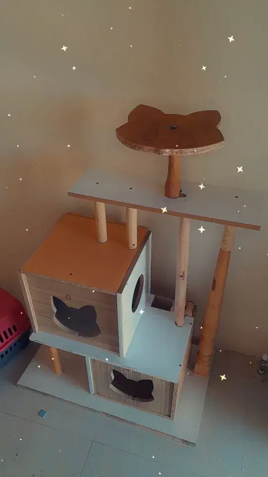 لونه گربه|لوازم جانبی حیوانات|پرند, فاز ۶|دیوار