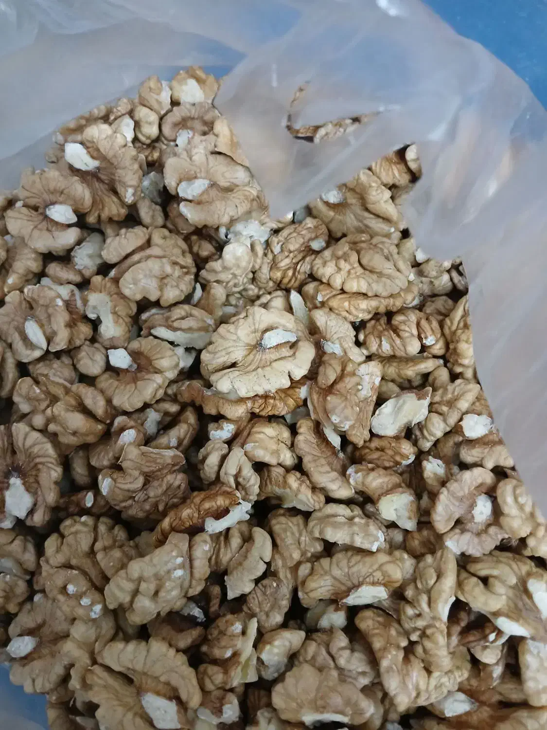 مغزگردوسفیدوروغنی|خوردنی و آشامیدنی|مشگین شهر, |دیوار