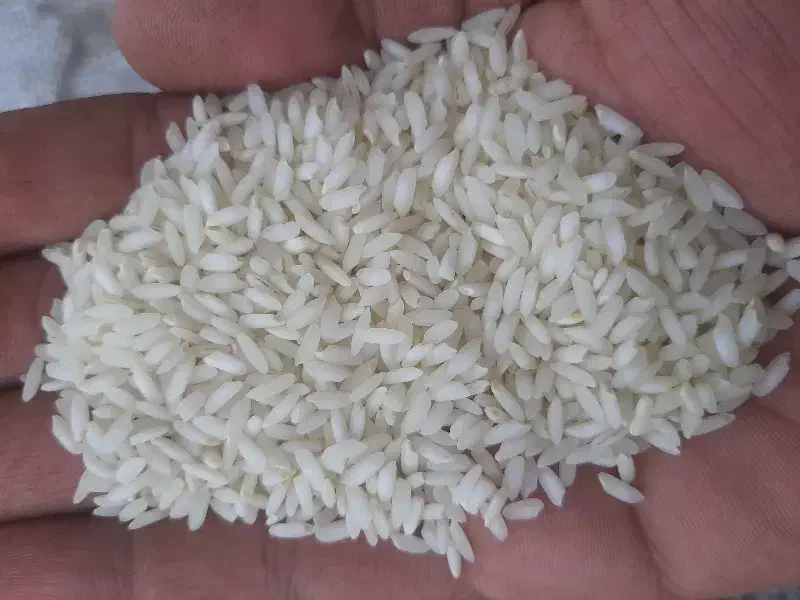 برنج عنبربو امسال بو و طعم فوق العادست|خوردنی و آشامیدنی|چمران, |دیوار