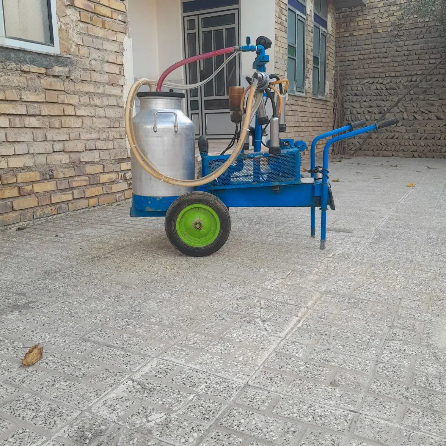 دستگاه شیردوش گاو شیر دوش روند اصلی|لوازم جانبی حیوانات|گنبد کاووس, |دیوار