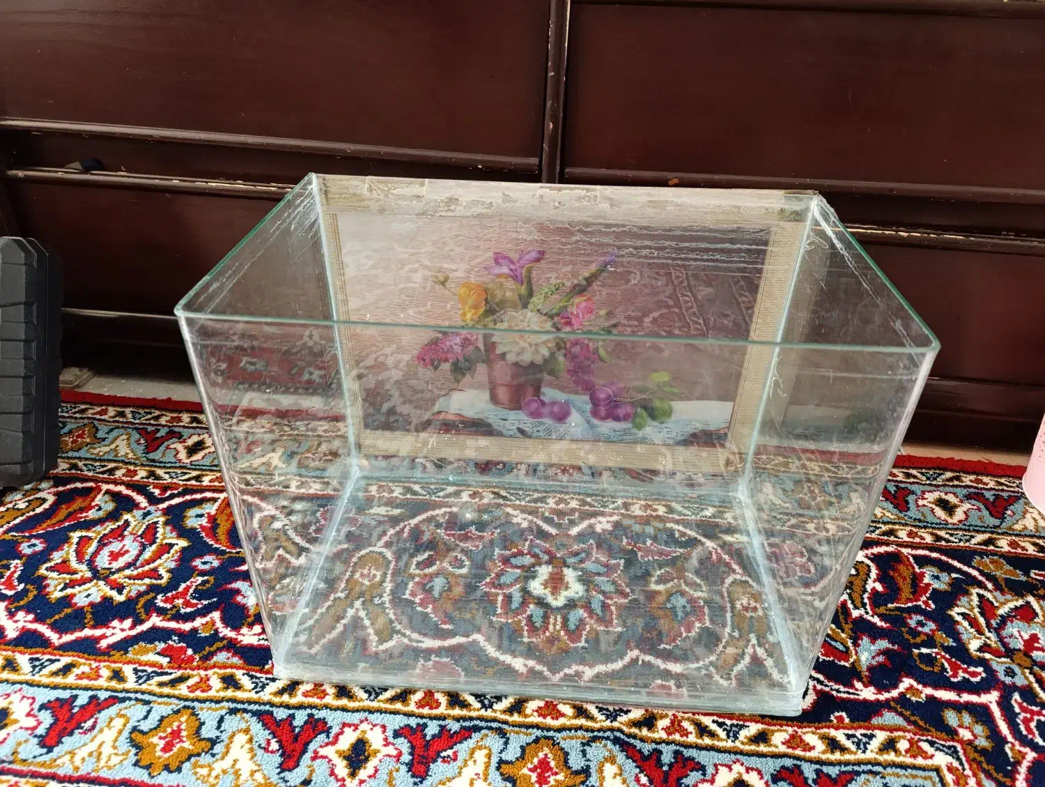 آکواریوم شیشه خم|ماهی|فردیس, شهرک شهید حسینی|دیوار