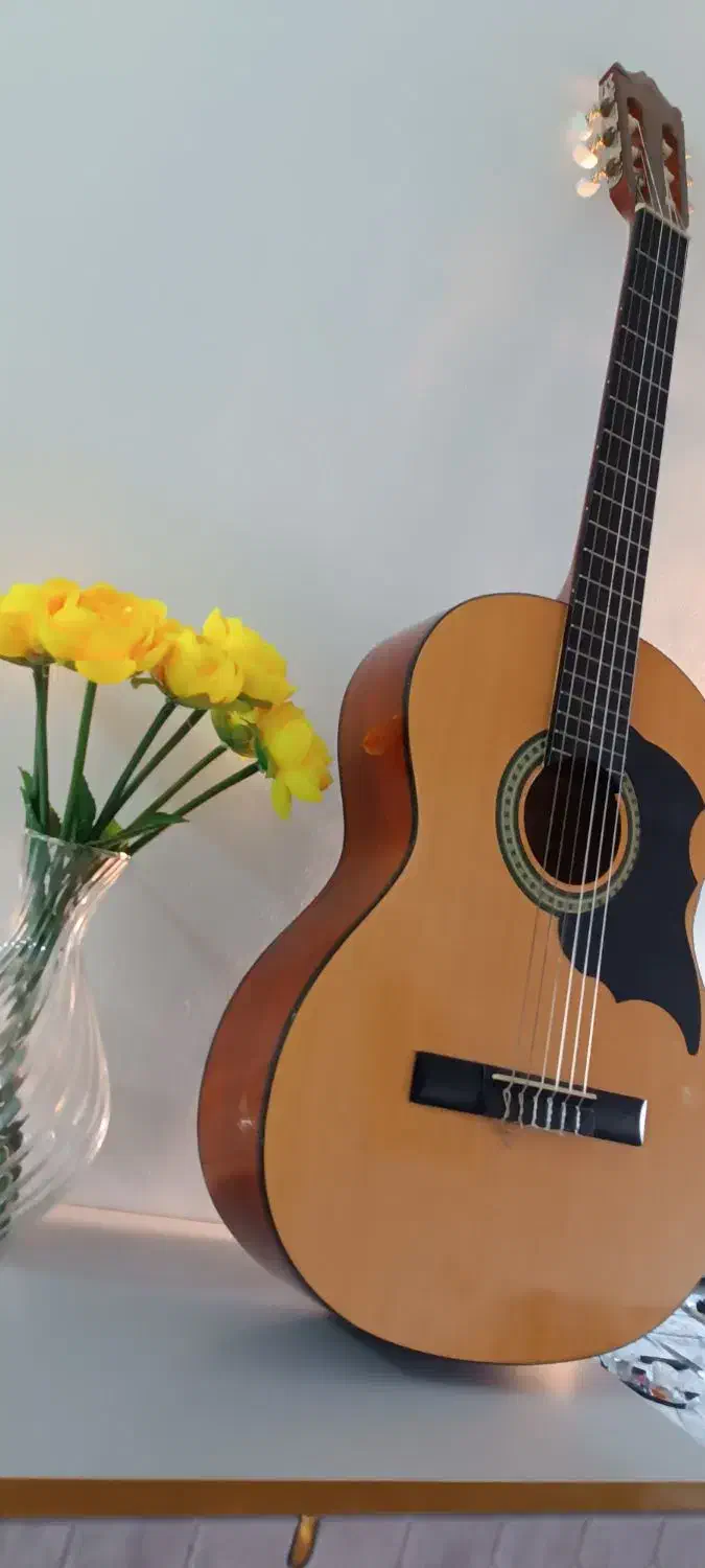 گیتار فروش فورری|گیتار، بیس، امپلیفایر|گرگان, |دیوار