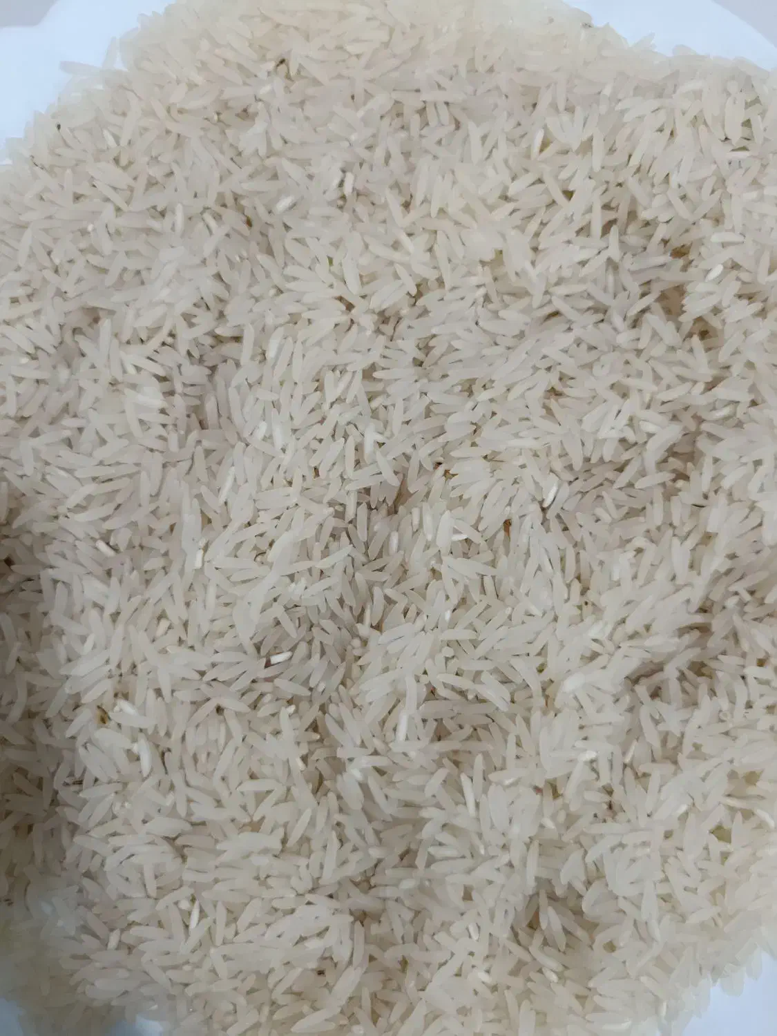 برنج فجر سوزنی درجه یک|خوردنی و آشامیدنی|گرگان, |دیوار