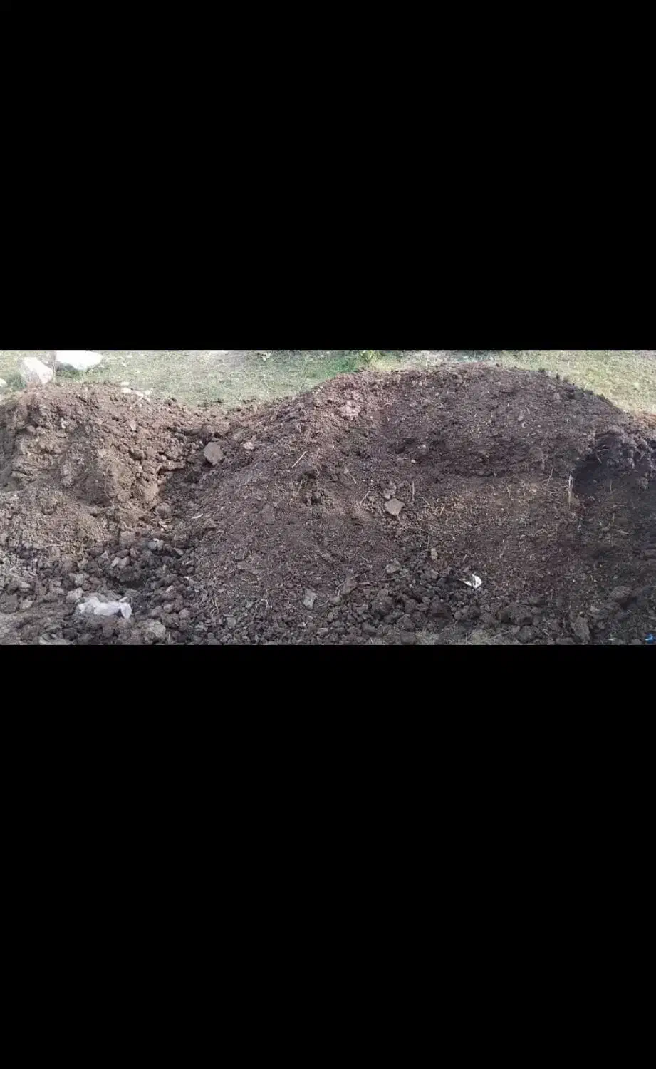 کود دامی کود گوسفندی کود گاوی|خدمات باغبانی و درختکاری|اسلام‌شهر, بهرام آباد|دیوار