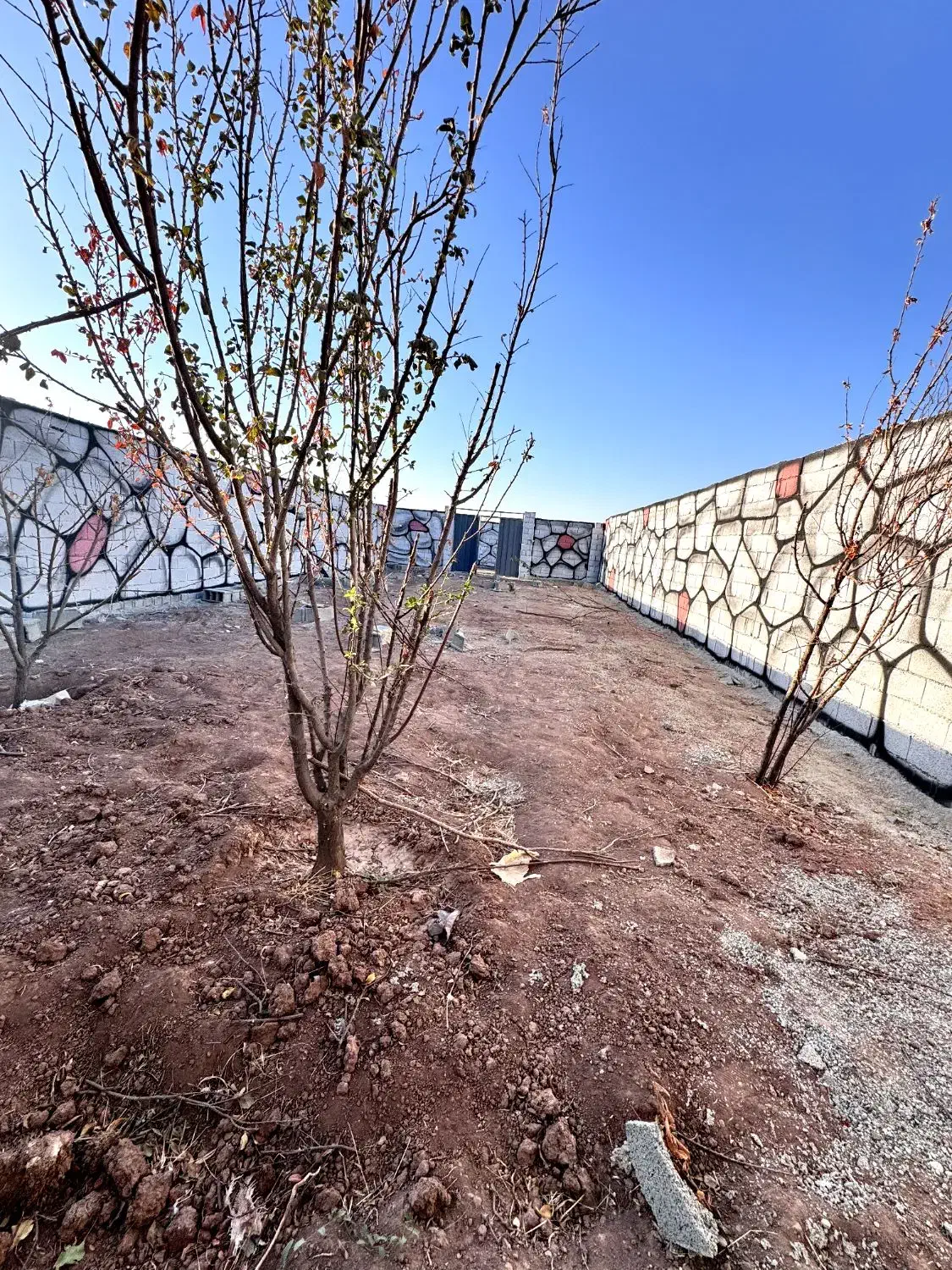 درختان مثمر باغچه باغ زمین سند دار|فروش زمین و ملک کلنگی|شهریار, اصیل آباد|دیوار