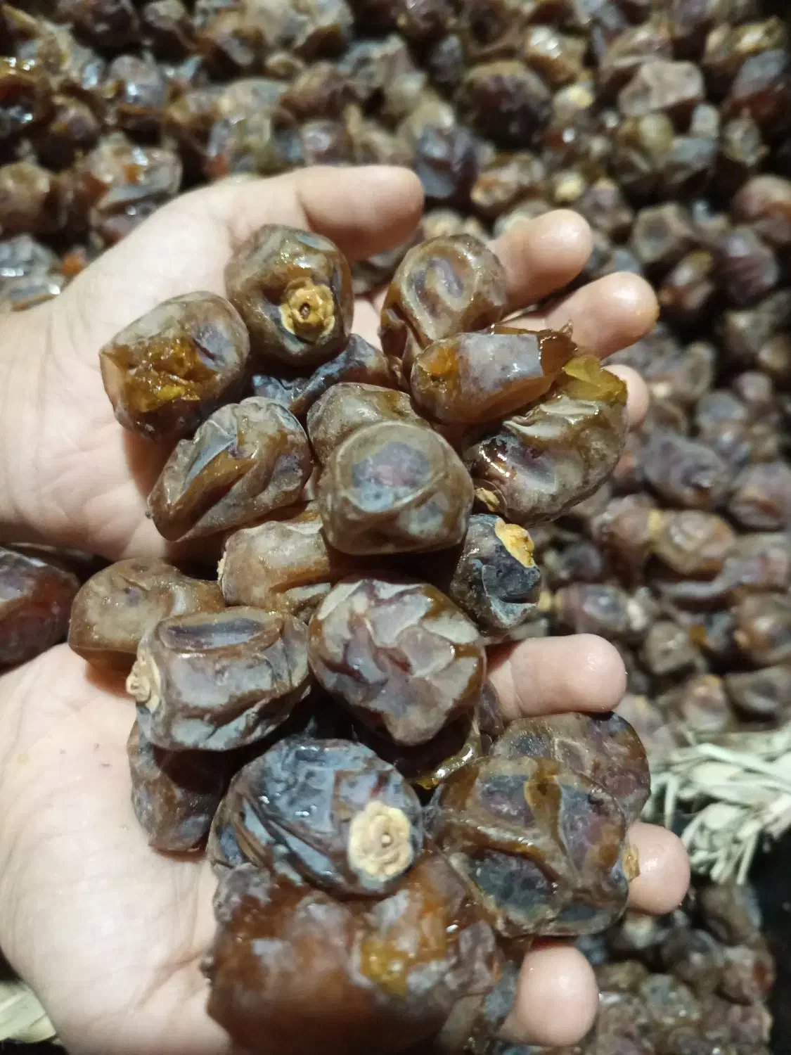 خرما برحی|خوردنی و آشامیدنی|اهواز, اسماعیلیه|دیوار