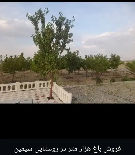 باغ هزار متری فول امکانات سیمین زاغه|فروش زمین و ملک کلنگی|بهار, |دیوار