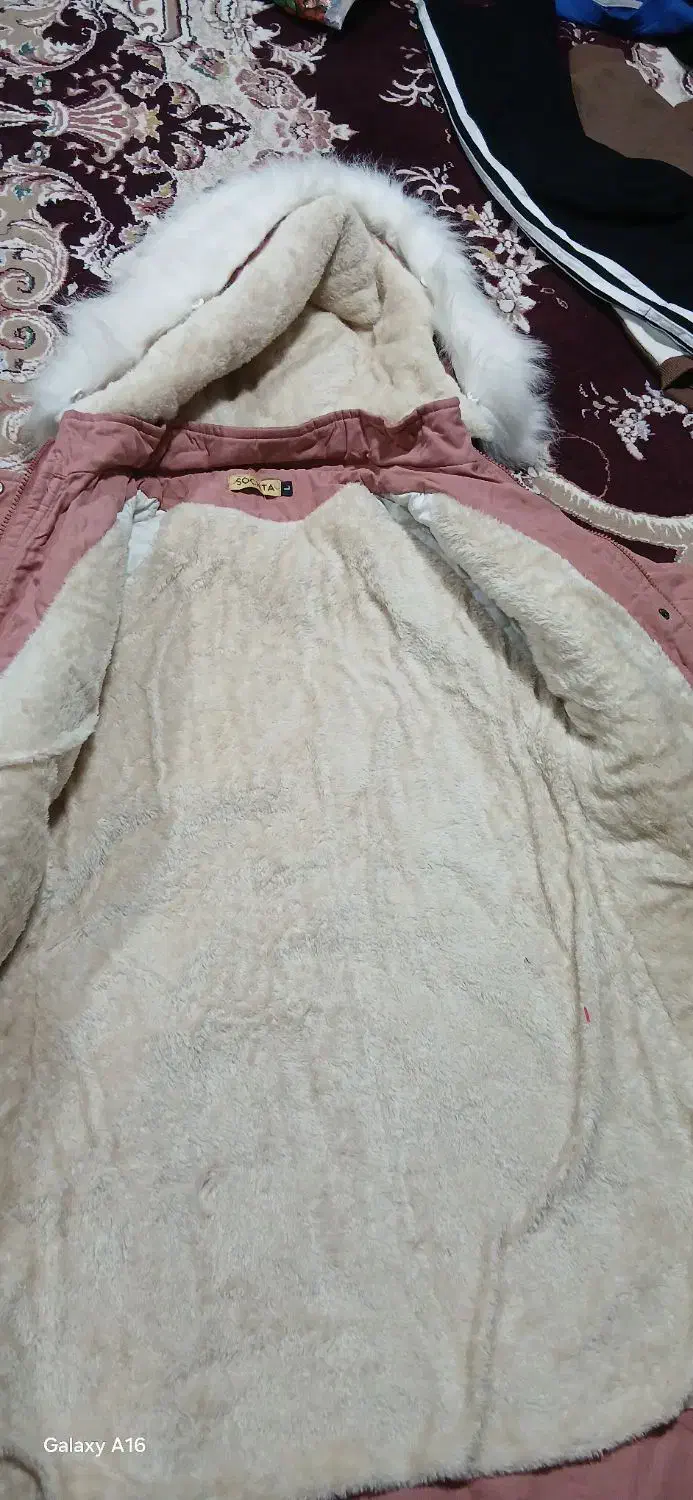 پالتوکلاهدار|لباس|مرودشت, سهل‌آباد|دیوار