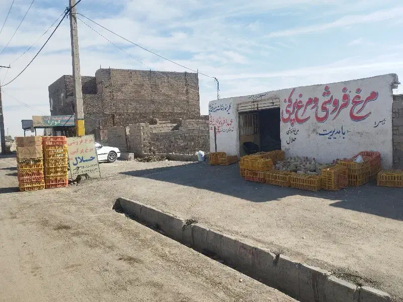 به یک کاریگر واسه مرغ پرکنی لازم دارم|استخدام خدمات فروشگاه و رستوران|زابل, |دیوار