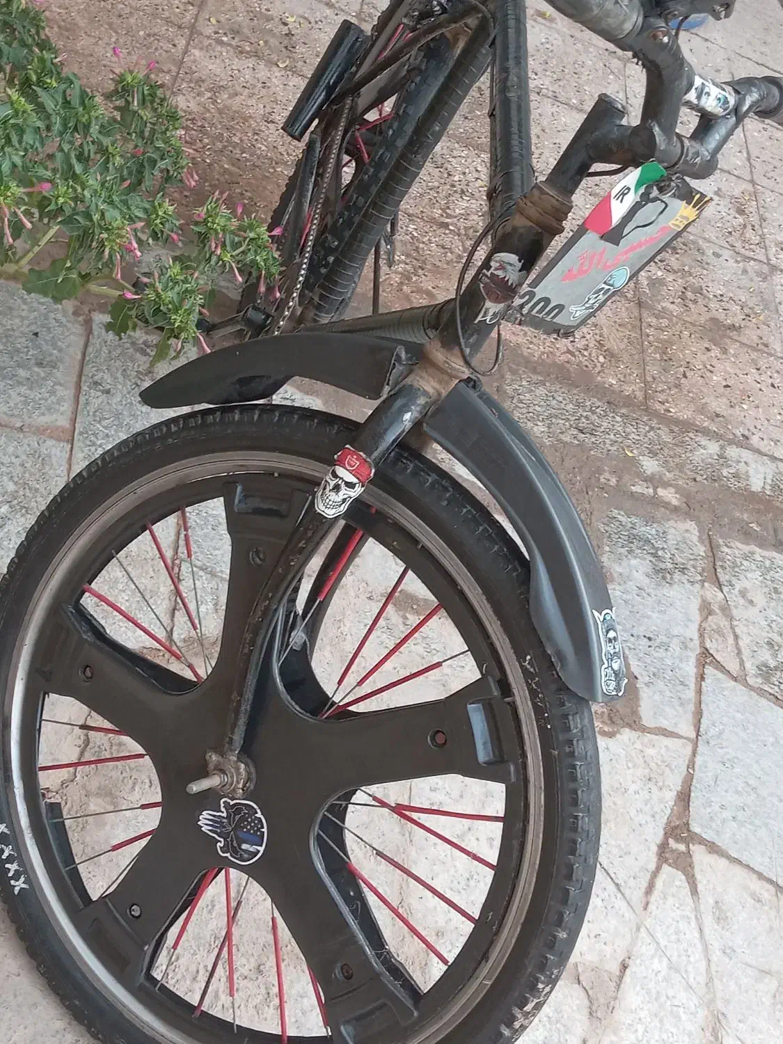 دوچرخه۲۶ دماوند|دوچرخه، اسکیت، اسکوتر|بیرجند, |دیوار