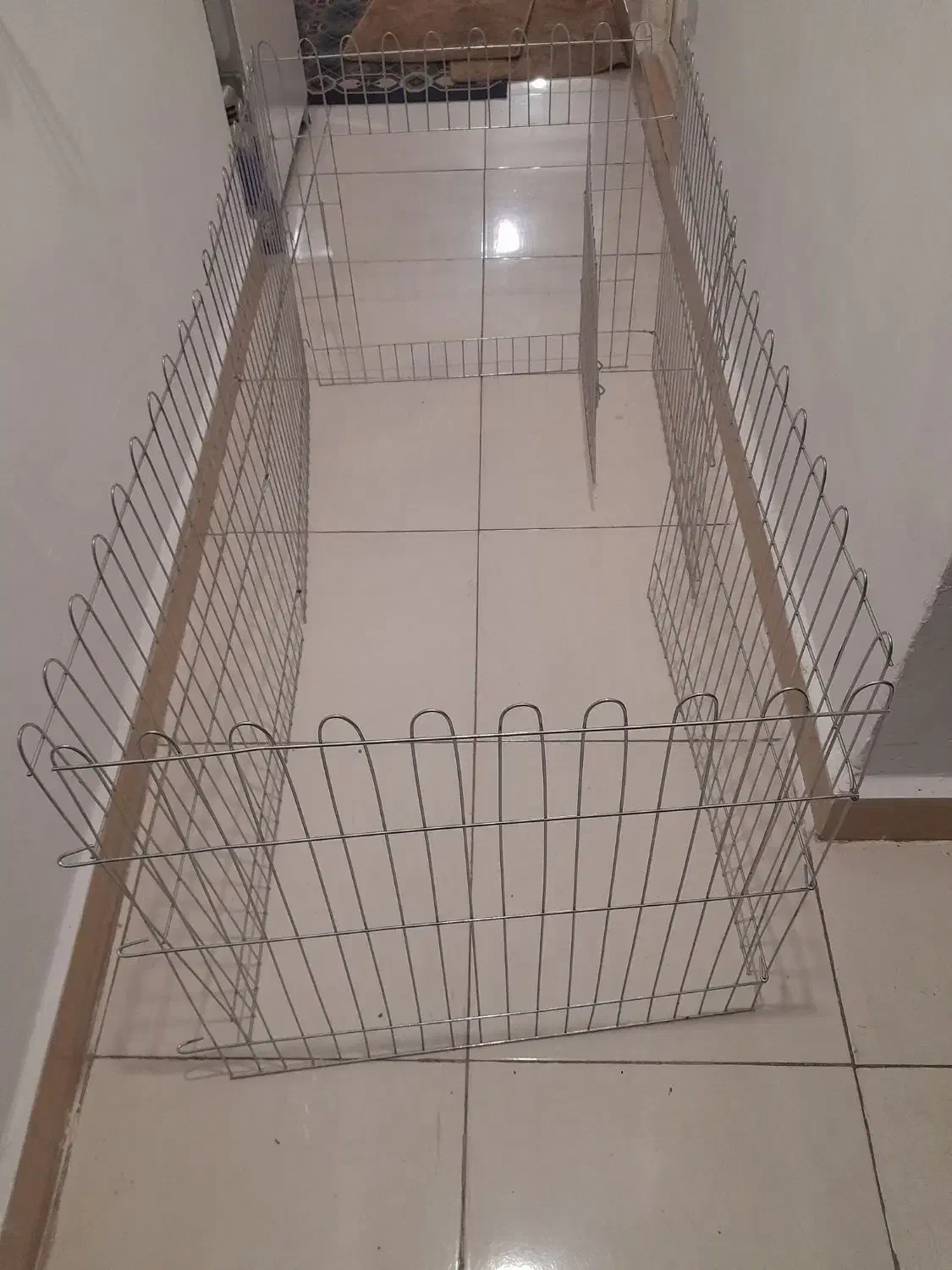 پارک سگ|لوازم جانبی حیوانات|رشت, رودباری|دیوار