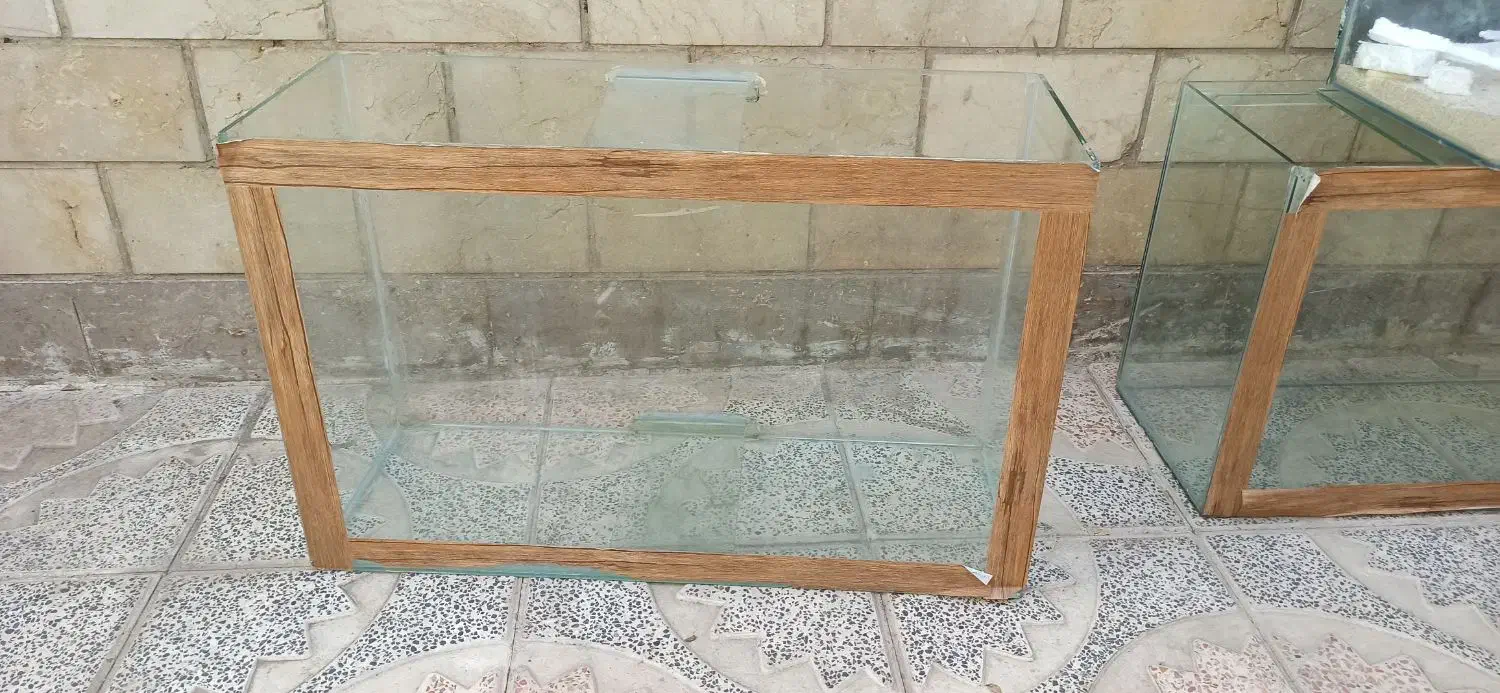 سه عدد اکواریوم|ماهی|شیراز, زرهی|دیوار