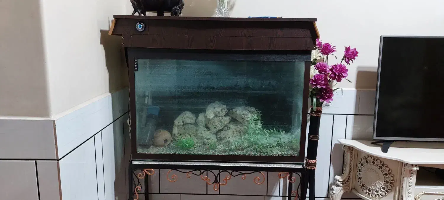 فروش آکواریوم با شیشه ضخیم ۱۰ میل کامل.(توافقی)|ماهی|دزفول, |دیوار