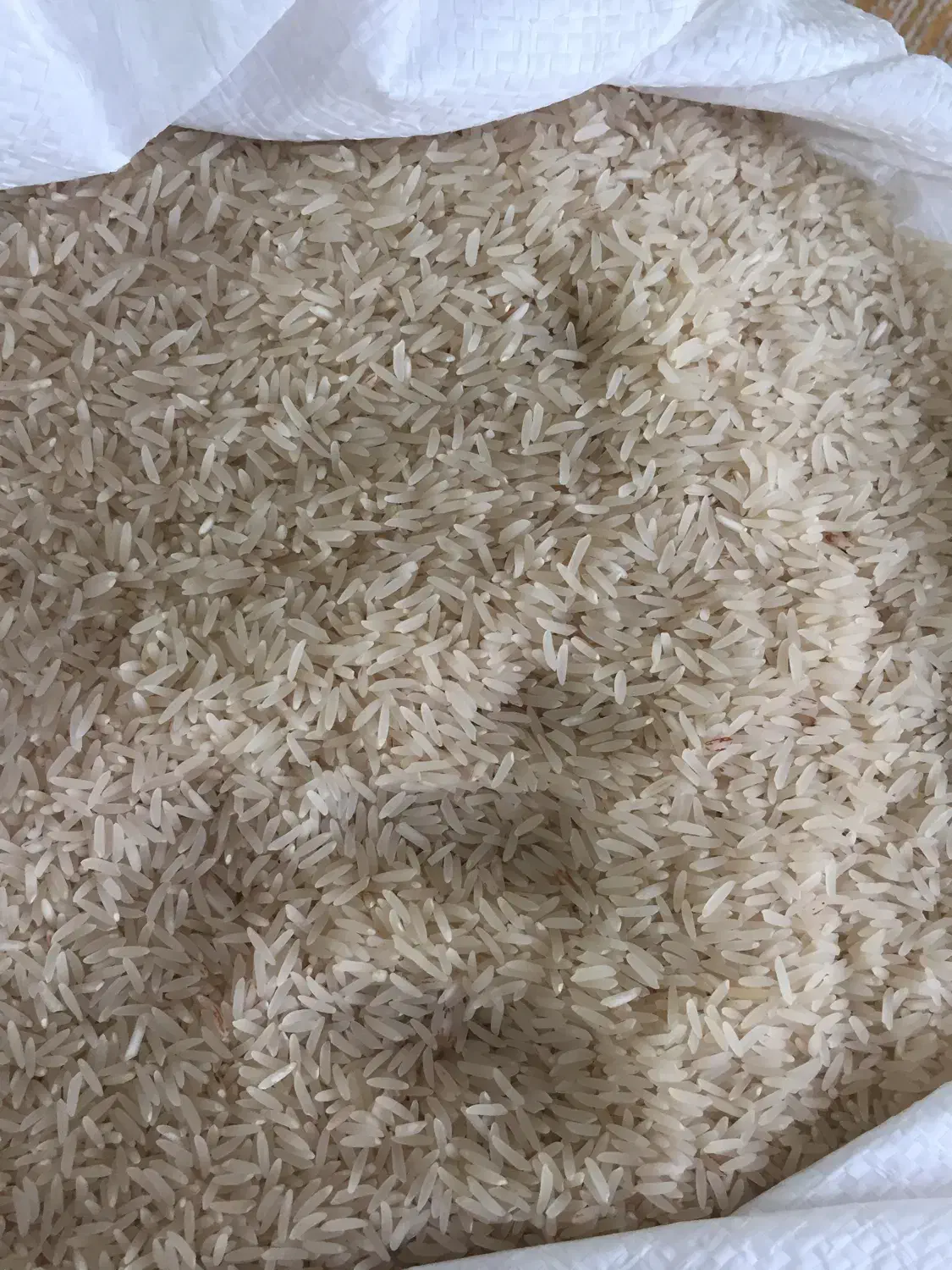 فروش برنج فجر|خوردنی و آشامیدنی|آق قلا, |دیوار