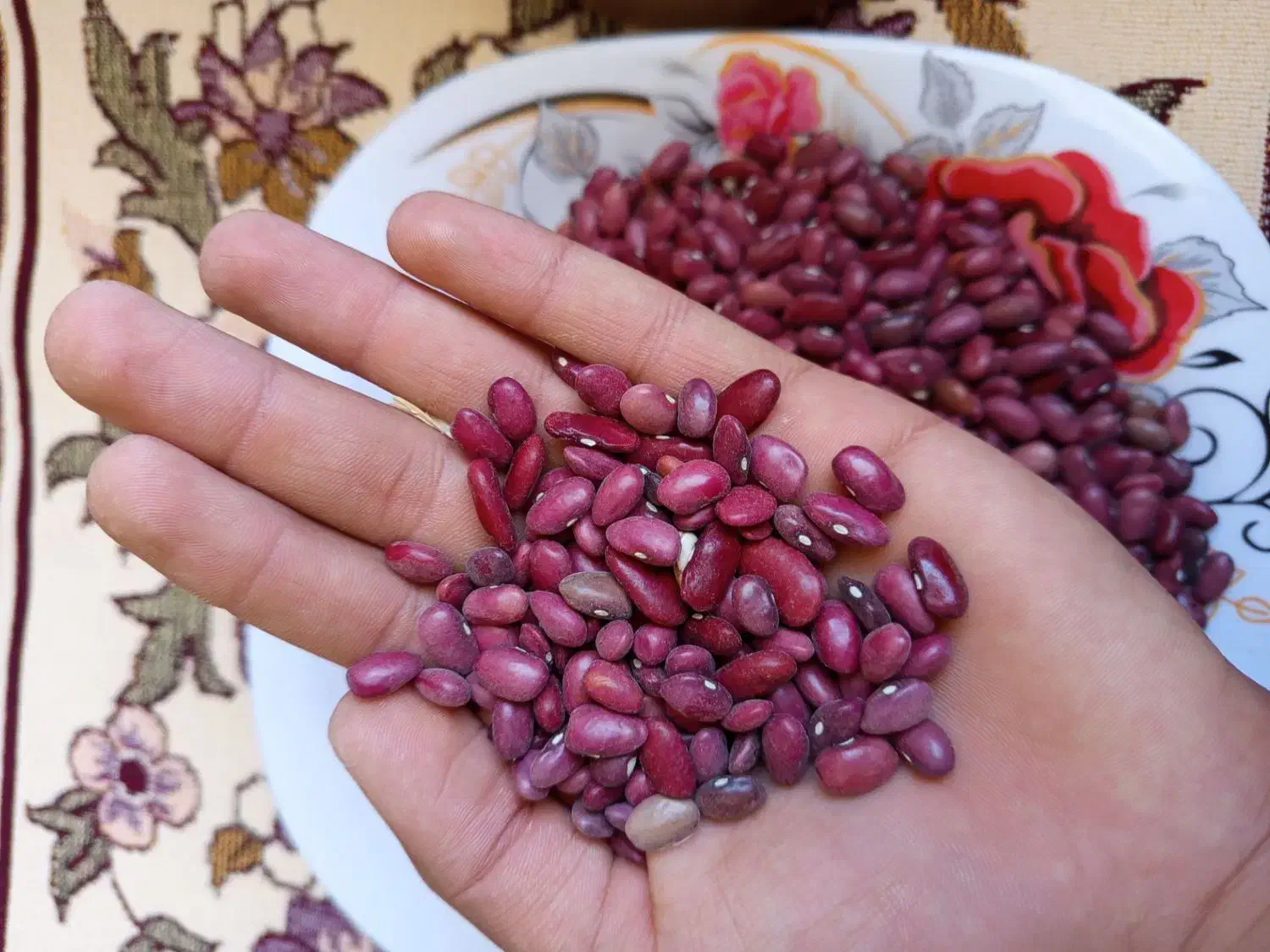 لوبیا قرمز خورشتی|خوردنی و آشامیدنی|زاغه, |دیوار