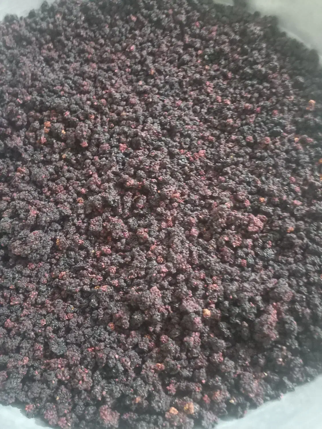 تَمِشک وحشی|خوردنی و آشامیدنی|ارژن, |دیوار