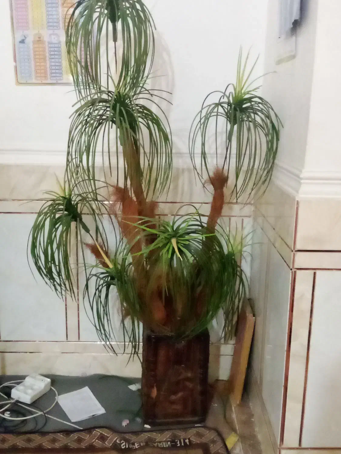 درختچه|گل مصنوعی|خرمشهر, |دیوار