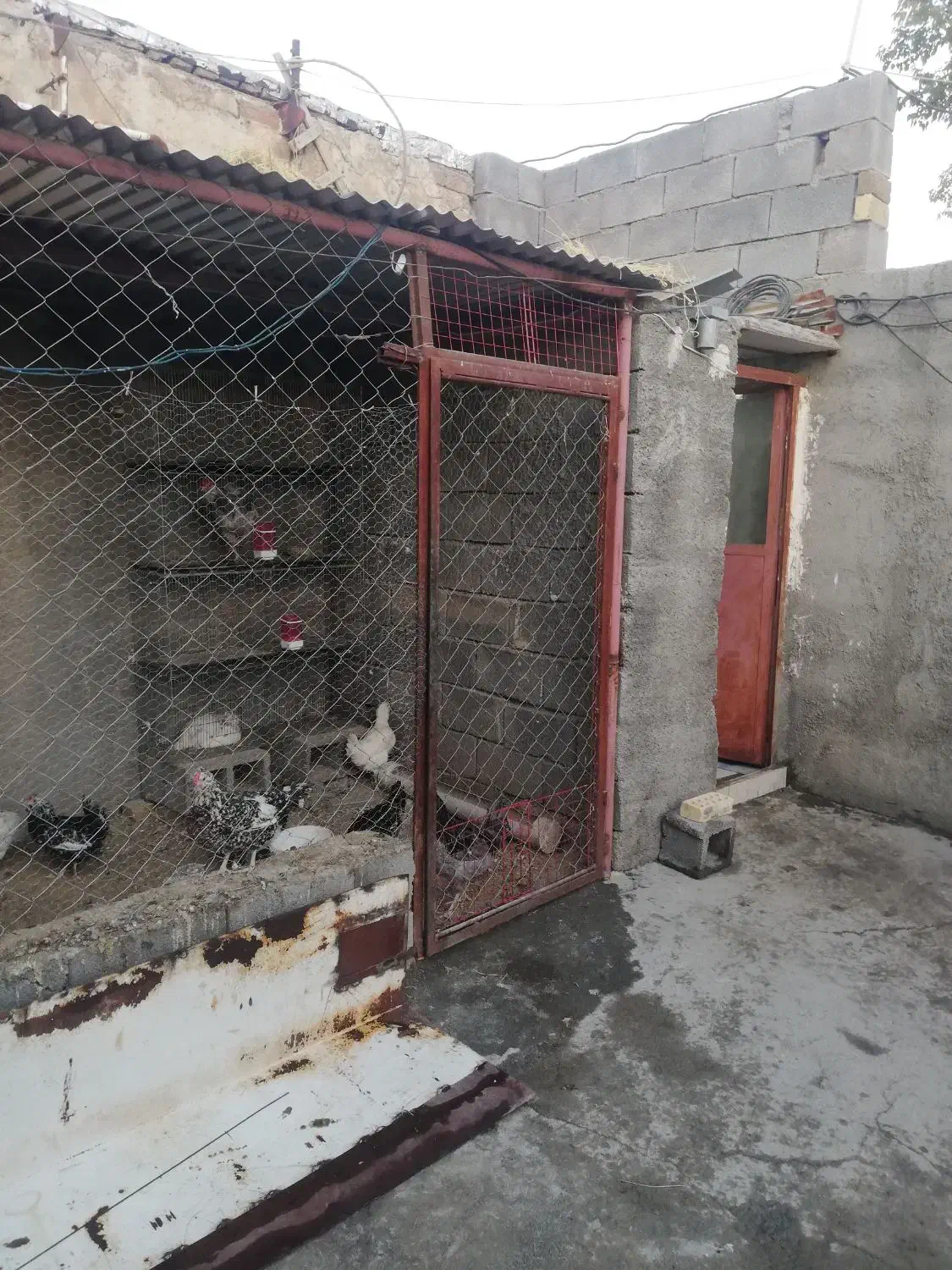 خانه ویلایی|فروش خانه و ویلا|دینور, |دیوار