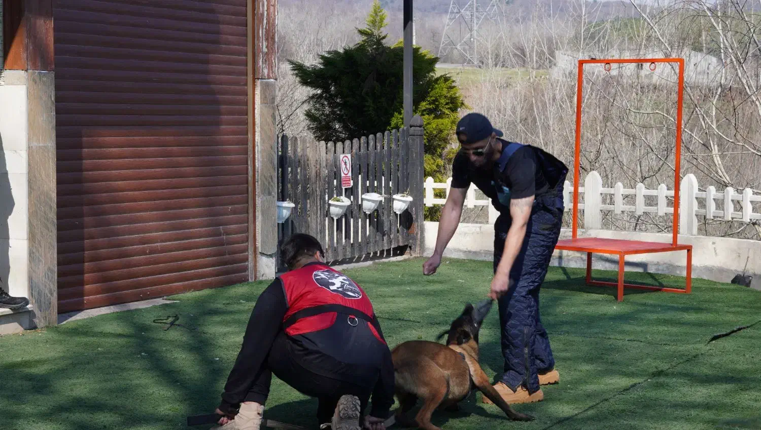 مربی سگ های خانواده و کار|خدمات آموزشی|گرگان, |دیوار