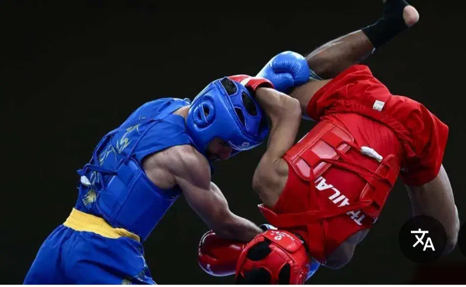 اموزش ووشو (ساندا)بانوان|خدمات آموزشی|سبزوار, امیر کبیر|دیوار