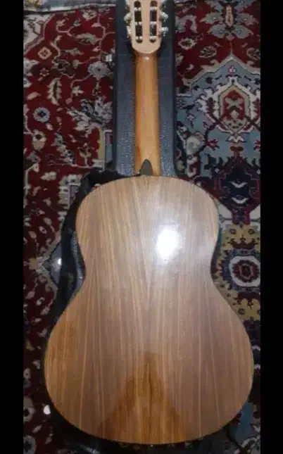 گیتار|گیتار، بیس، امپلیفایر|رودهن, |دیوار