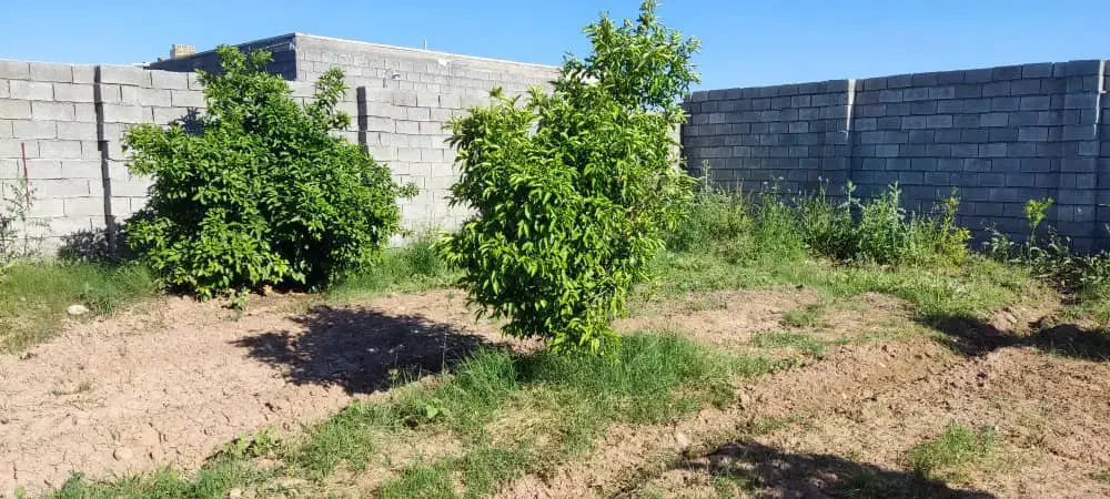 باغچه با برق و درخت نزدیک اصلی بن جعفر|فروش دفتر صنعتی، کشاورزی، تجاری|دزفول, |دیوار