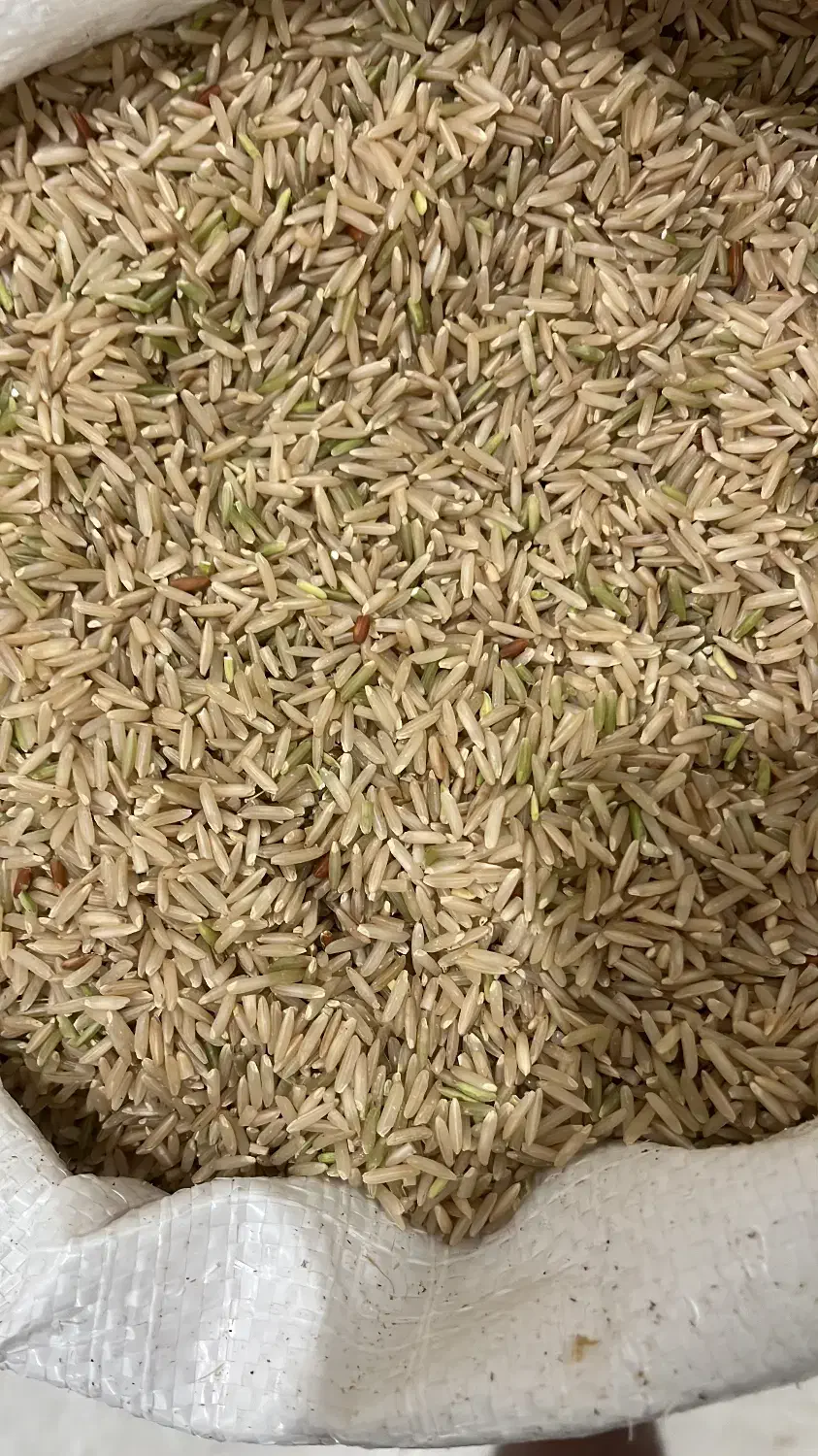 برنج قهوه ای(رژیمی)|خوردنی و آشامیدنی|کیش, |دیوار