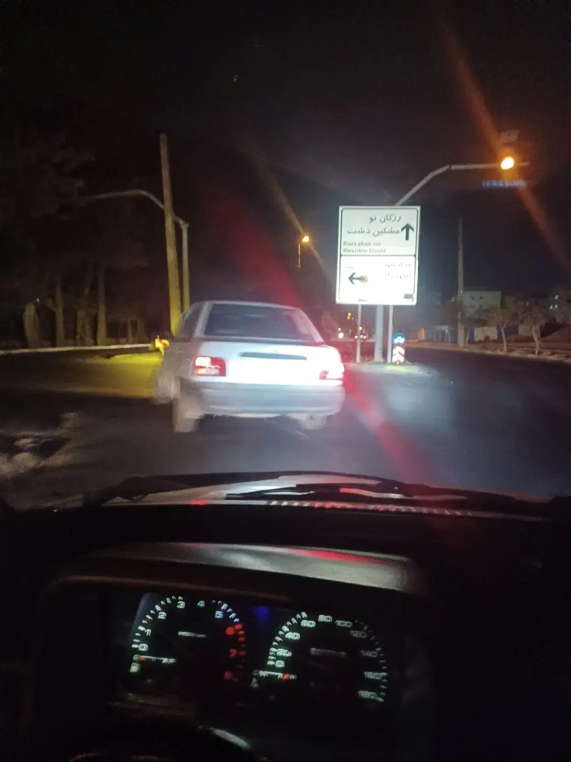 سگ خانگی پیدا شده|سگ|کرج, اتحاد|دیوار