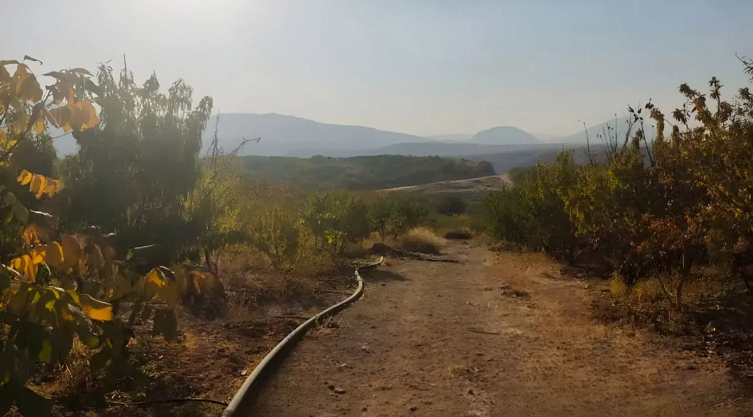 باغ معاوضه با خودرو|فروش زمین و ملک کلنگی|زاینده رود, |دیوار