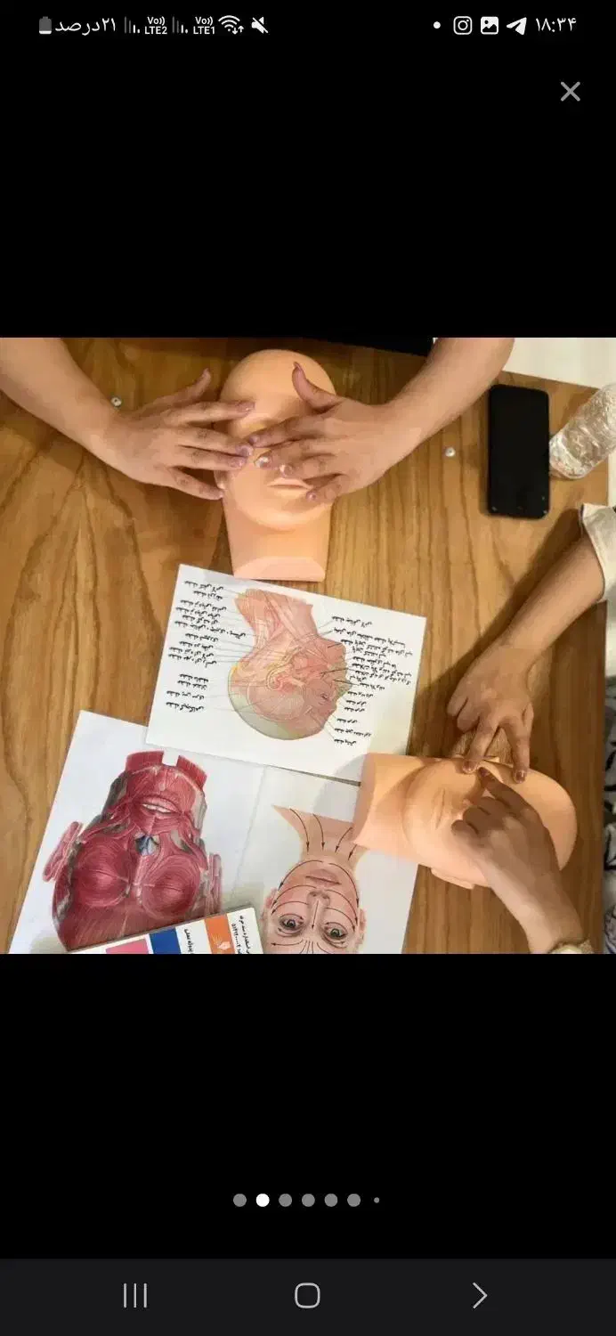 آموزش تخصصی فیشال و اسکالپ سر|خدمات آموزشی|همدان, |دیوار