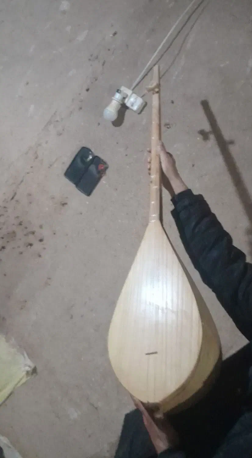 یک عدد تار فروشی ‌|سازهای سنتی|مشهد, حجاب (شهرک غرب)|دیوار