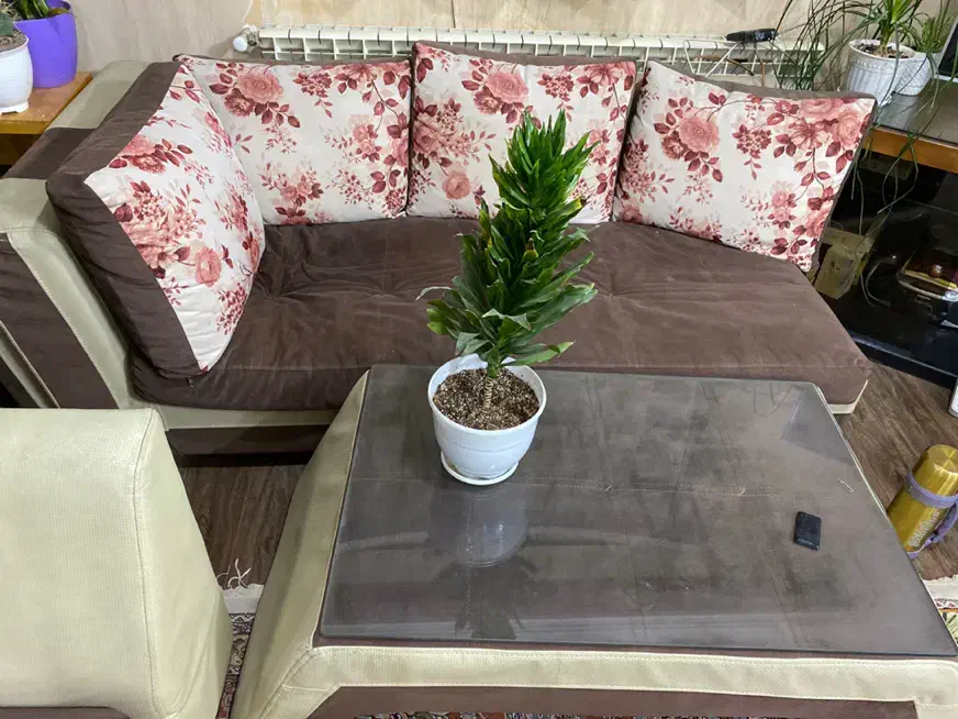 مبل راحتی|مبلمان خانگی و میز عسلی|مشهد, نیروی هوایی|دیوار