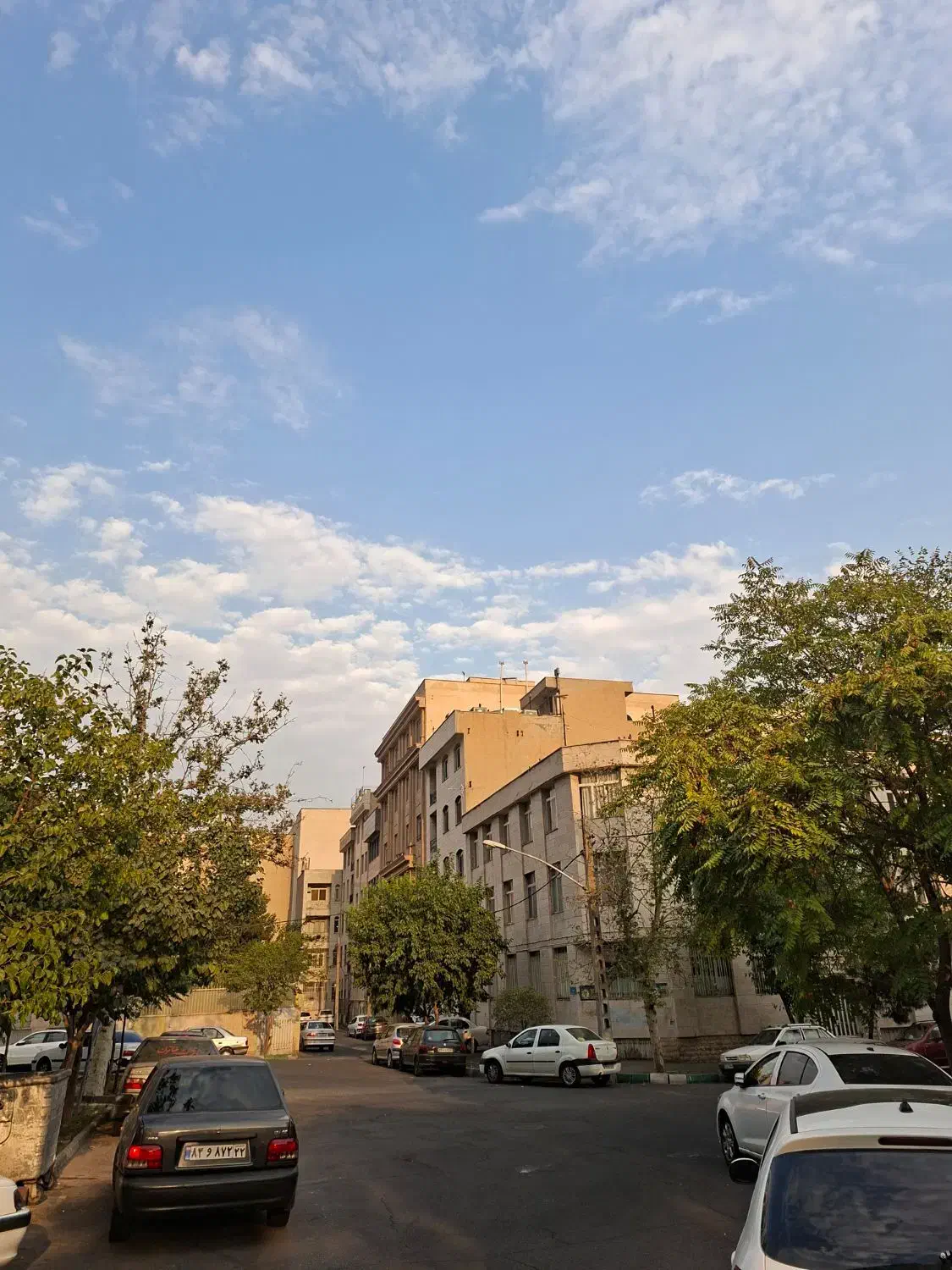 ۱۶۶ متر بر ۷ونیم شمالی یکی از تاپ میدان های نارمک|فروش زمین و ملک کلنگی|تهران, نارمک|دیوار