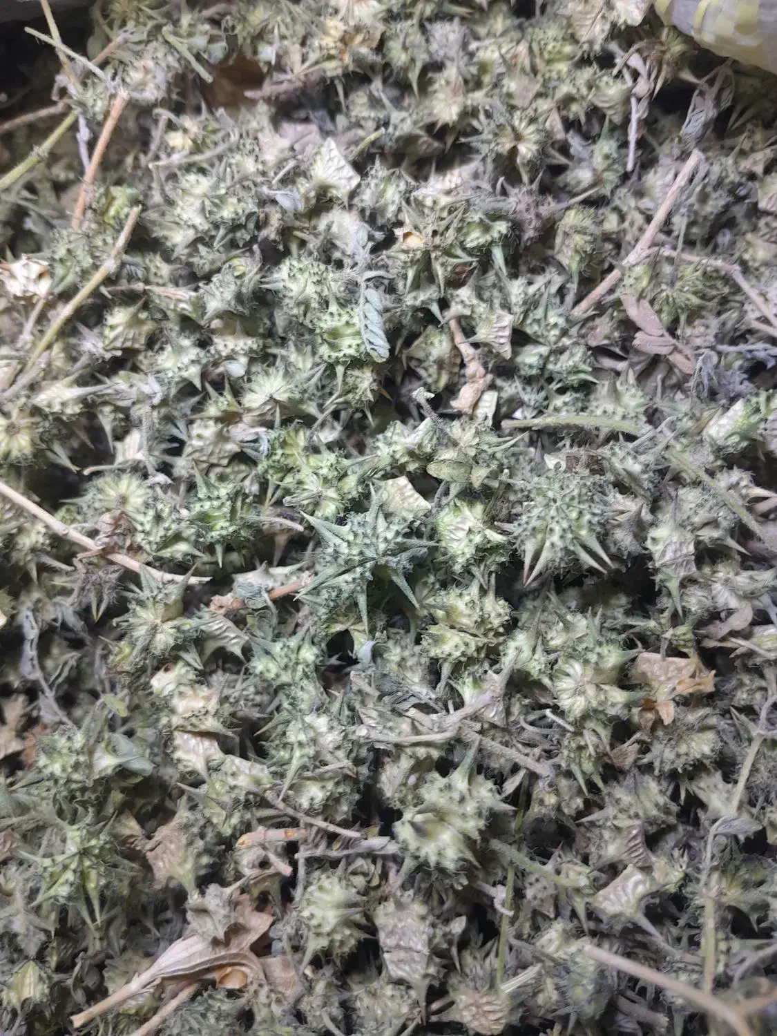 خارخاسک|خوردنی و آشامیدنی|رضویه, |دیوار