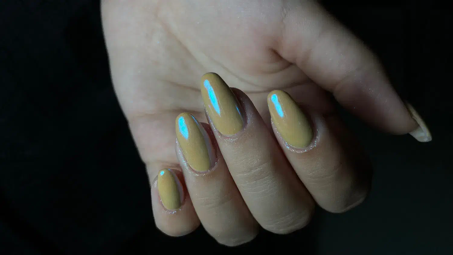 بلک فرایدی ترمیم فقط ۱۷۰|خدمات آرایشگری و زیبایی|رشت, حمیدیان|دیوار