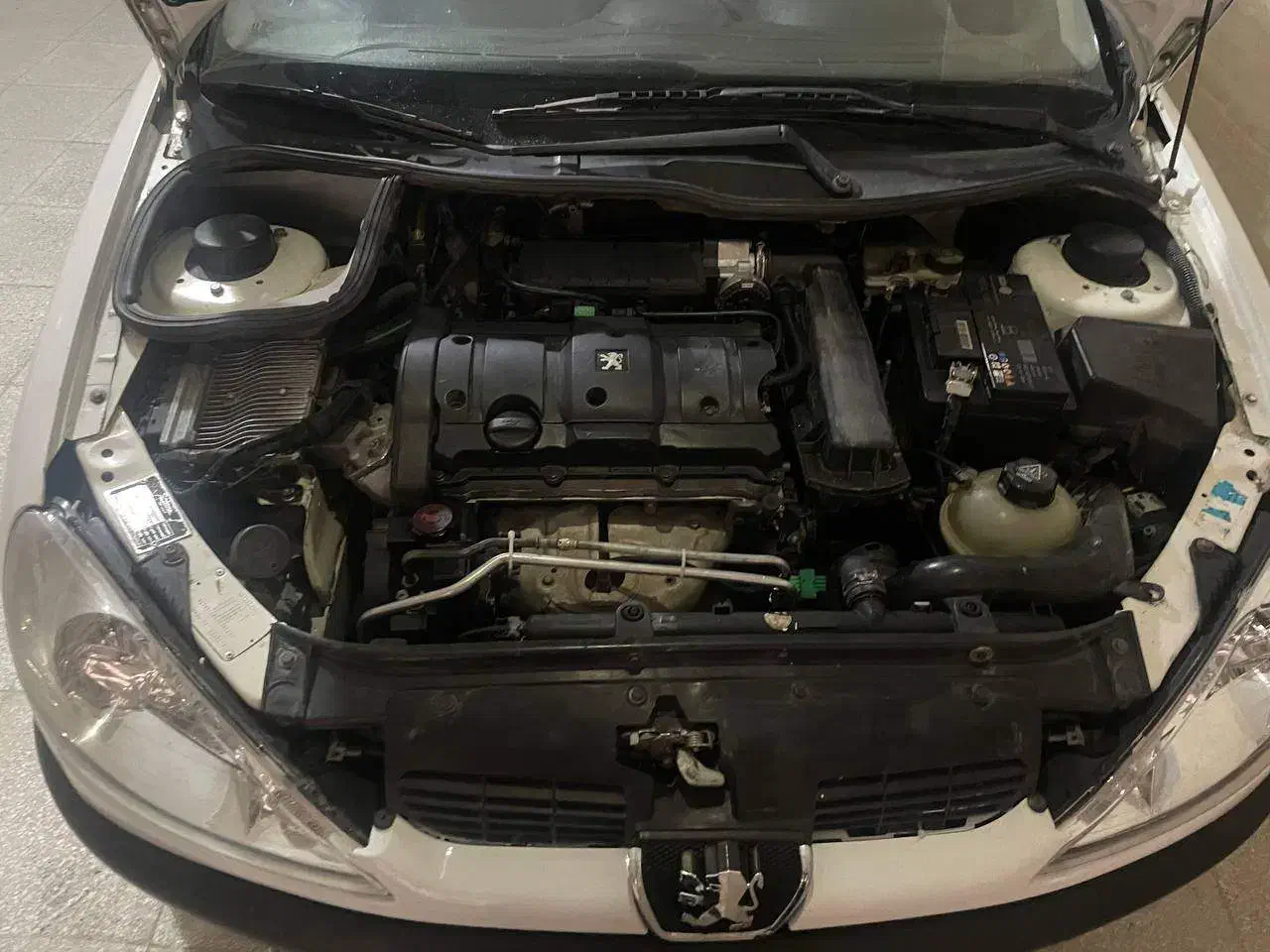 206تیوفایو sd|خودرو سواری و وانت|سنندج, |دیوار