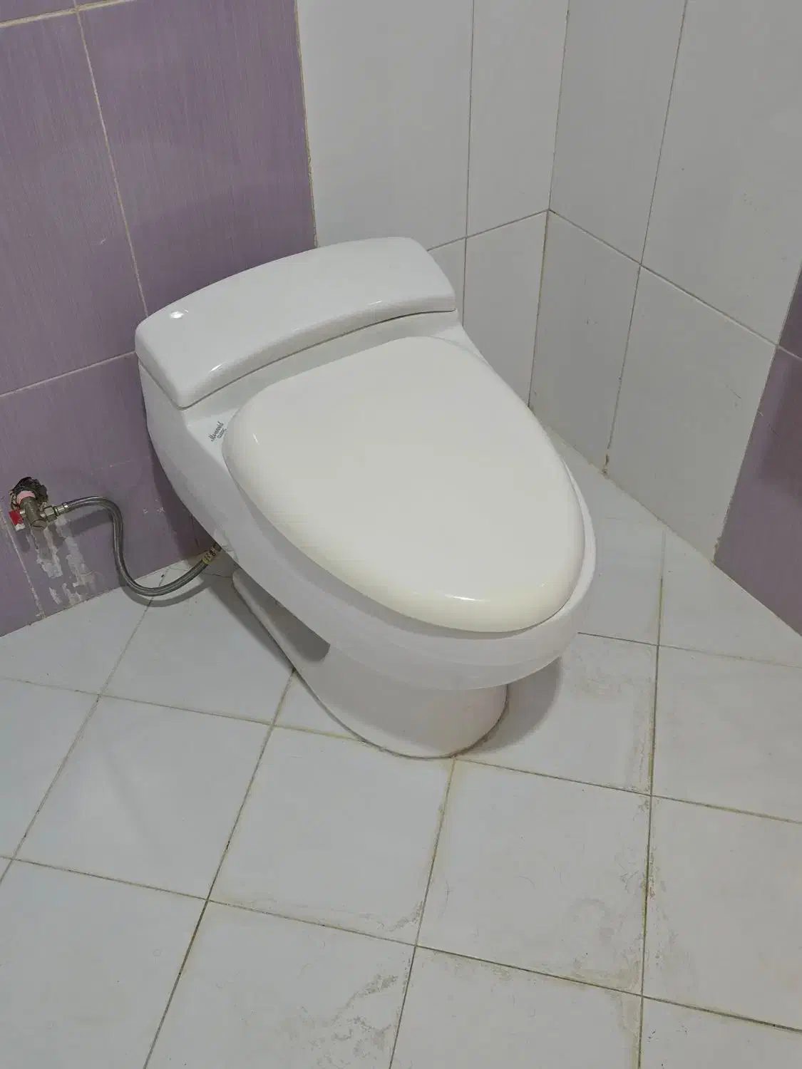 توالت فرنگی و دو عدد روشویی مروارید|لوازم سرویس بهداشتی|چالوس, |دیوار