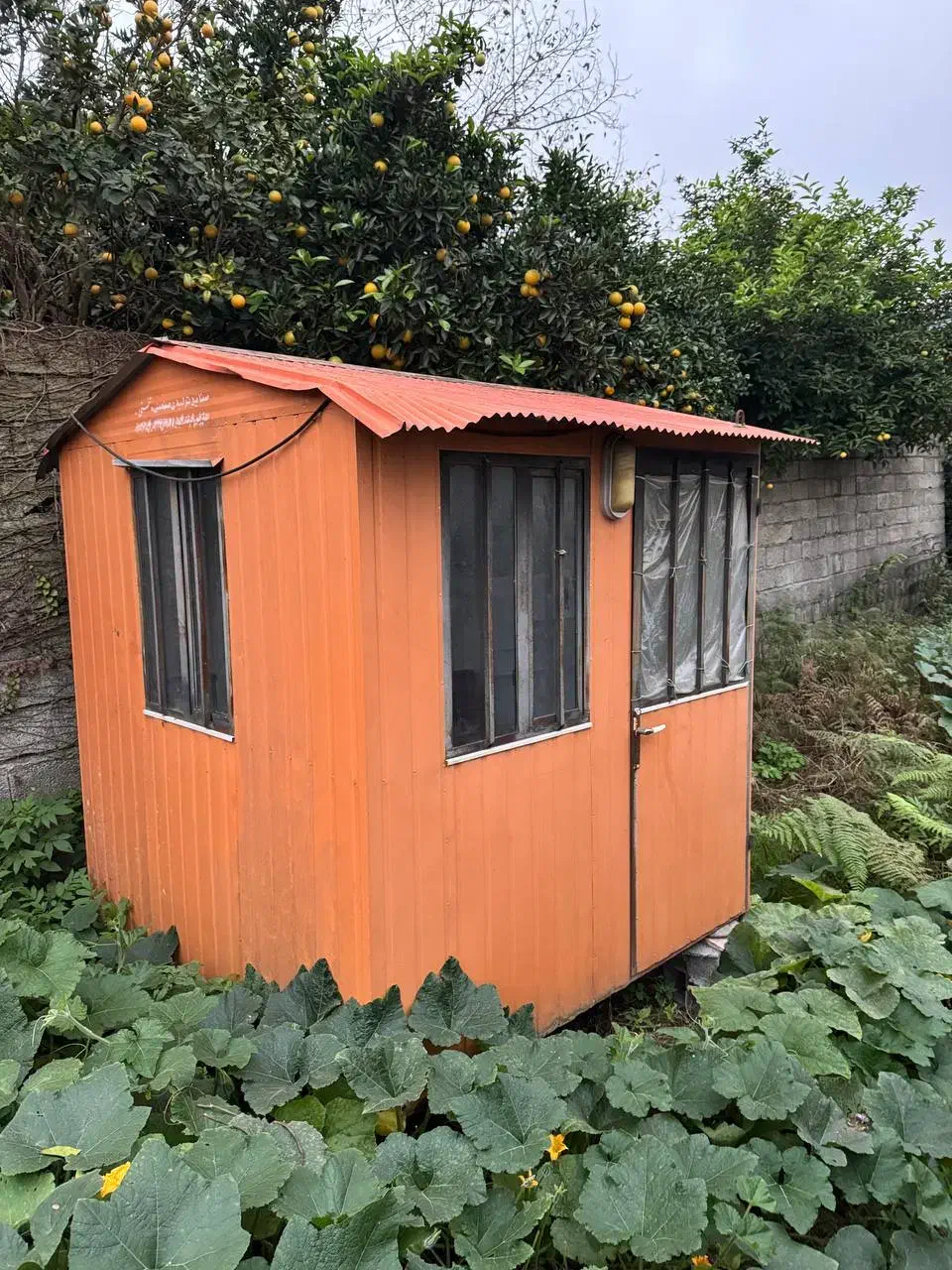 کانکس|مصالح و تجهیزات ساختمان|لنگرود, |دیوار