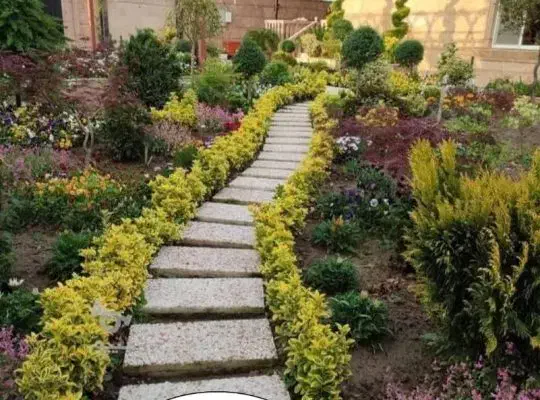 خدمات باغبانی گلکاری باغچه کاری درختکاری|خدمات باغبانی و درختکاری|شهریار, شهریار|دیوار