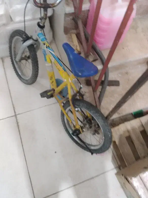 دوچرخه ۱۶|دوچرخه، اسکیت، اسکوتر|یاسوج, |دیوار