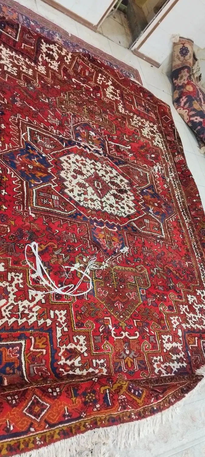 خریدار نقد و فروش انواع فرش دستباف کارکرده و کهنه|فرش|تبریز, |دیوار