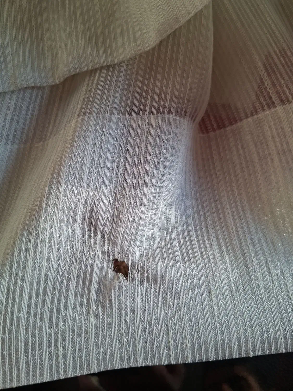 پرده پذیرایی شیک وتمیز|پرده، رانر، رومیزی|مشهد, امام خمینی|دیوار