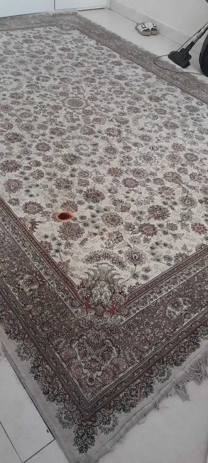 فرش|فرش|تهران, صفا|دیوار