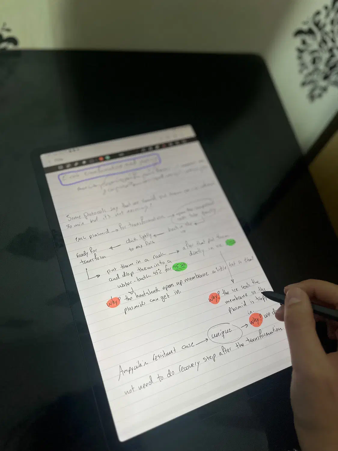 تبلت سامسونگ Galaxy Tab S7 FE با لوازم کامل|تبلت|کرج, شهرک دریا|دیوار