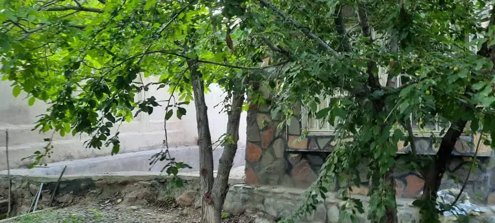 باغچه فشند هشتگرد تهاتر با آپارتمان تهران|فروش خانه و ویلا|هشتگرد, فشند|دیوار