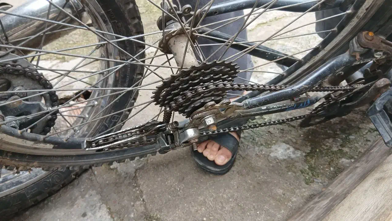 دوچرخه ۲۴|دوچرخه، اسکیت، اسکوتر|قرق, |دیوار