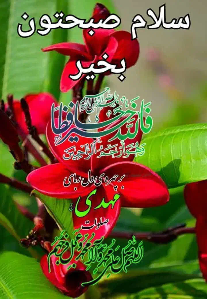 انتقالی سربازجابهجایی|فعالیت داوطلبانه تحقیقاتی|اردبیل, |دیوار