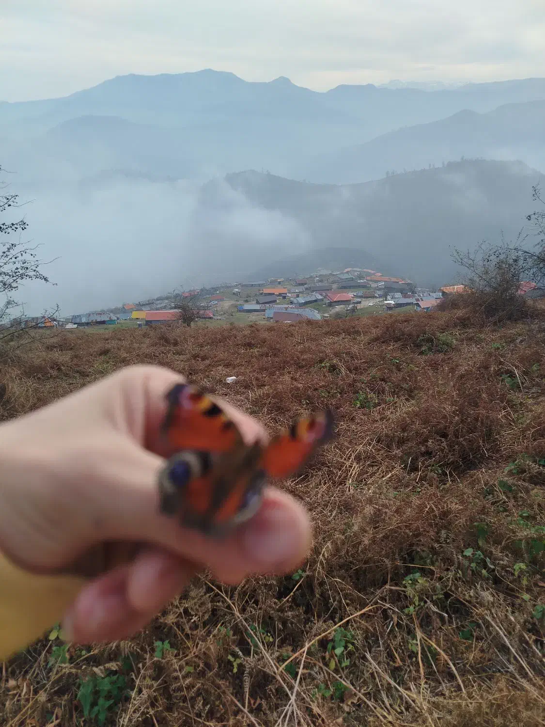 همراه کوهنوردی|فعالیت داوطلبانه|رشت, پیرسرا|دیوار