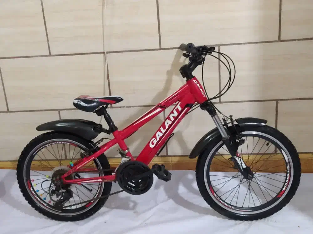 دوچرخه کمکدار تمیز تمیز دنده ای|دوچرخه، اسکیت، اسکوتر|آبادان, |دیوار